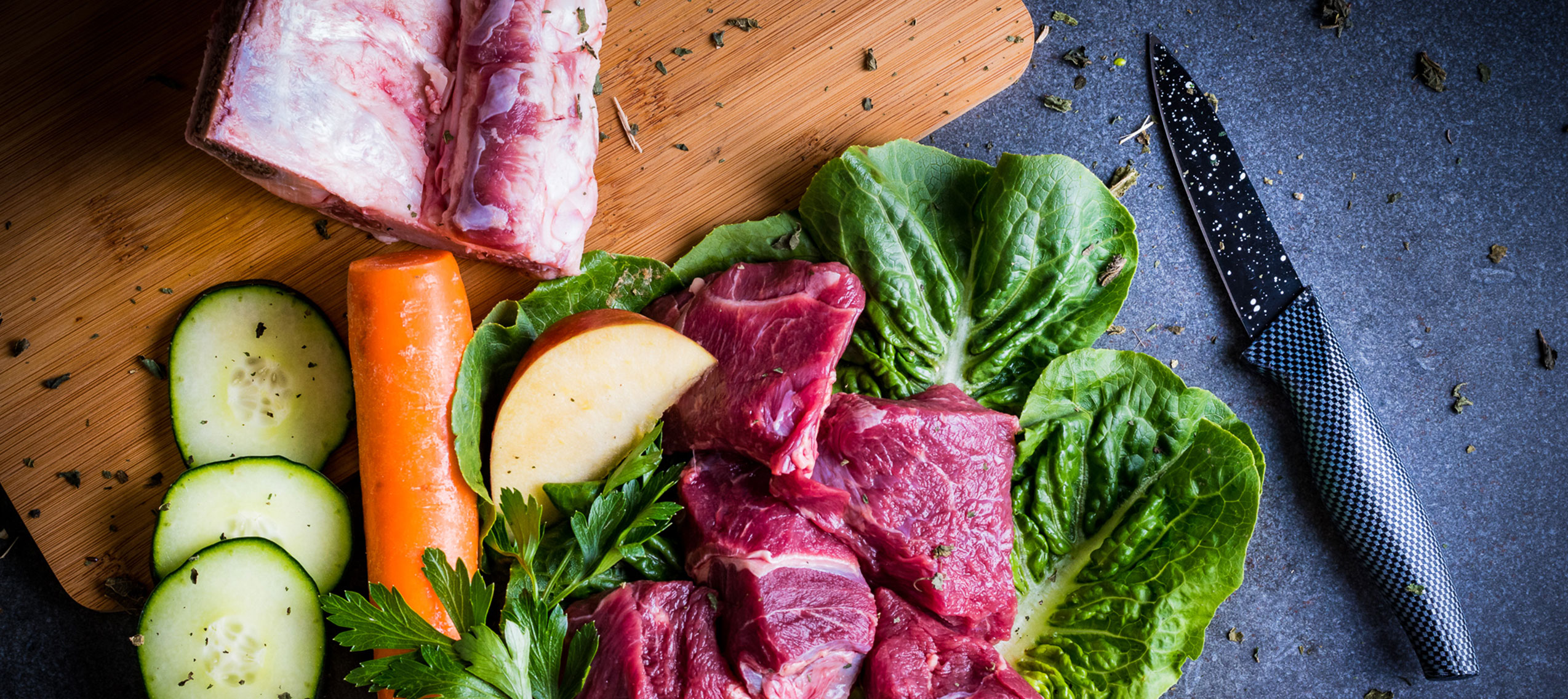 B.A.R.F. - Rohes Fleisch mit Gurken, Karotten, Äpfel, Salat und Kräutern